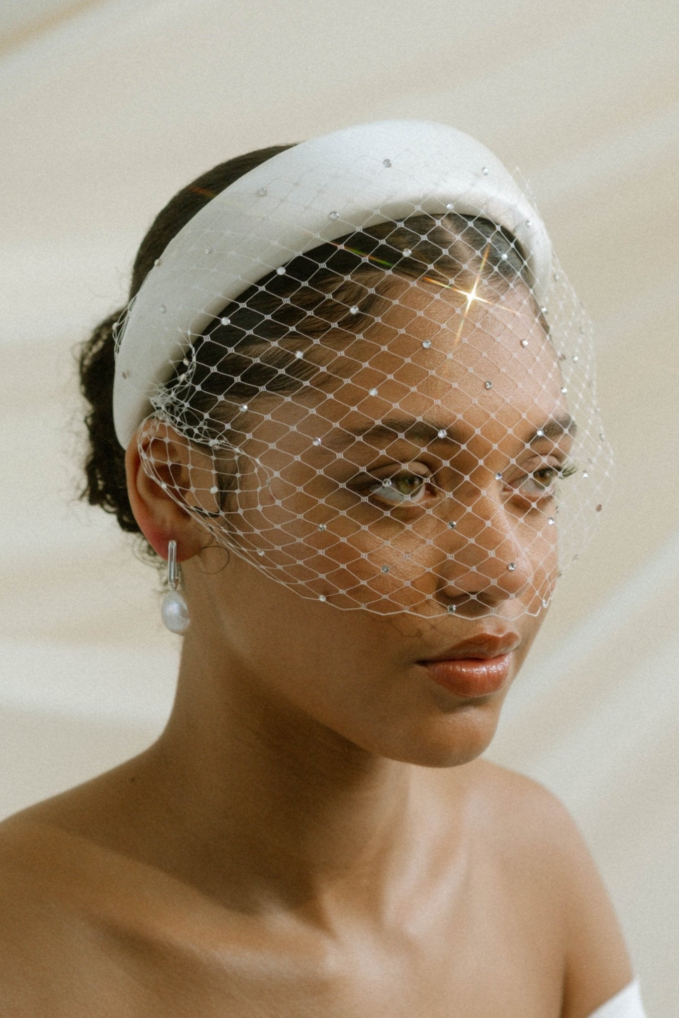 Angelina Ivory Birdcage Veil With Crystals