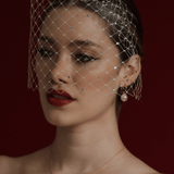 Merry Widow Crystal Birdcage Veil | Ellis | Debbie Carlisle