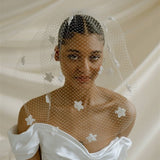 Blossom Ivory Birdcage Blusher Veil With 3D Flowers