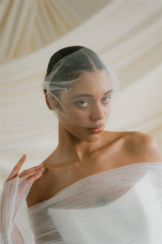 Dita Sheer Tulle Ivory Birdcage Veil With Face-Framing Crystals