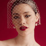 Merry Widow Crystal Birdcage Veil | Ellis | Debbie Carlisle