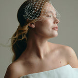 Merry Widow Mask Birdcage Veil