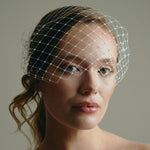 Merry Widow Mask Birdcage Veil