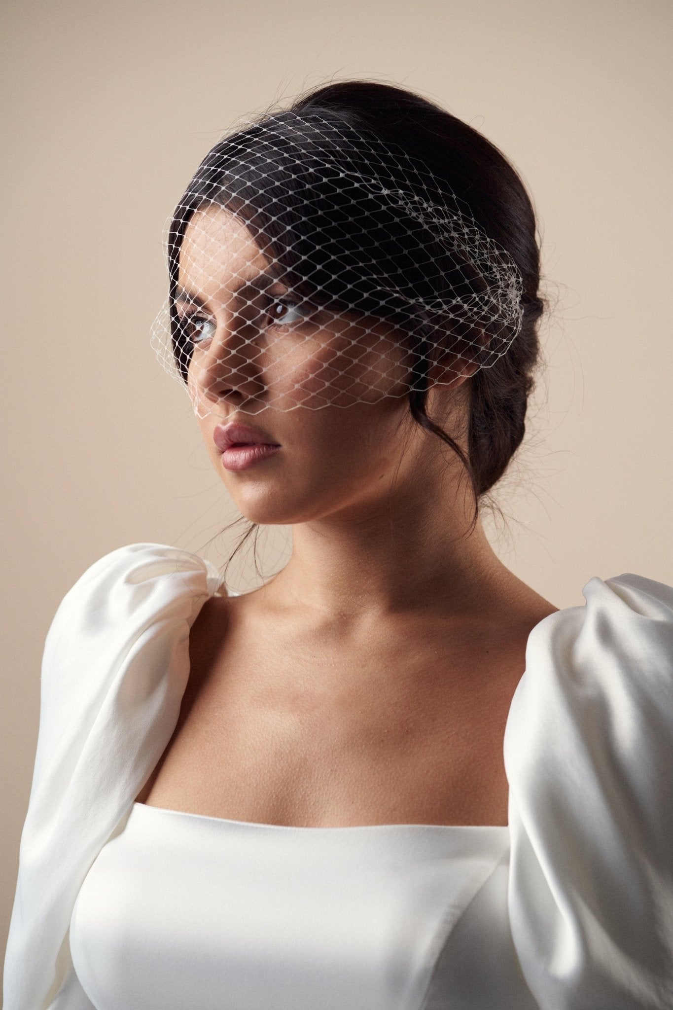 Ivory birdcage wedding veil - mask style - short