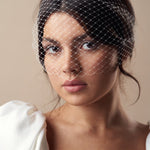Ivory birdcage wedding veil - mask style - short