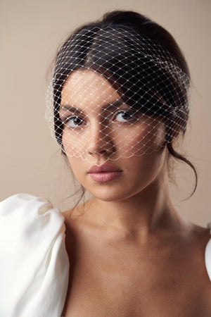 Ivory birdcage wedding veil - mask style - short
