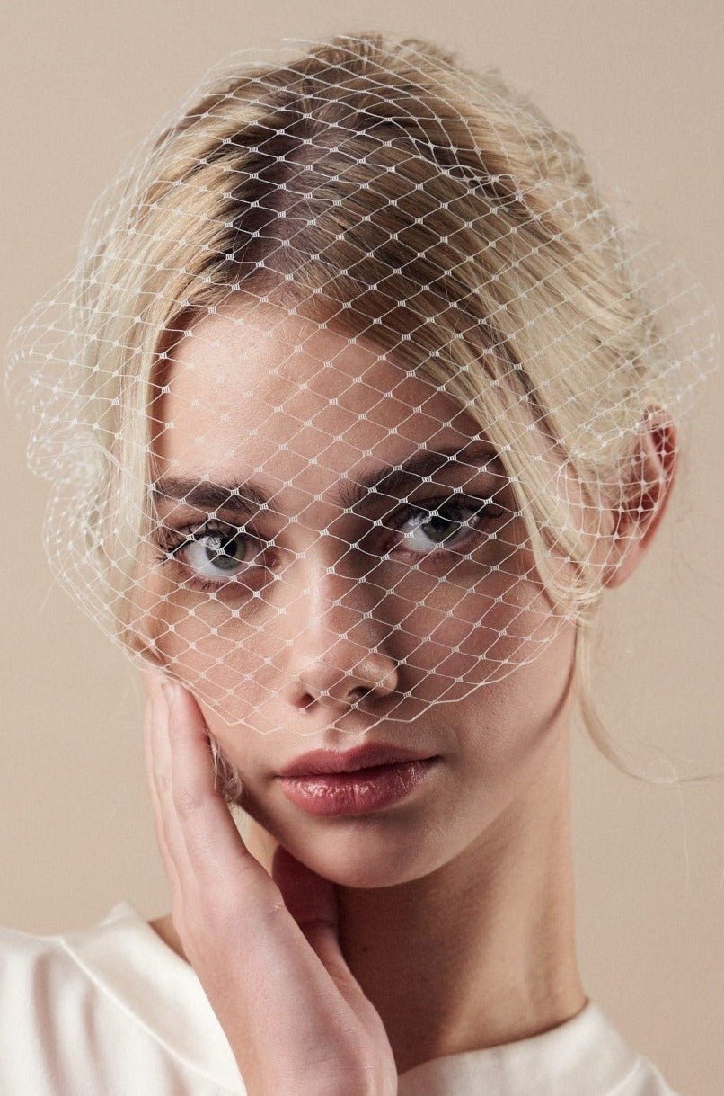 Ivory birdcage wedding veil - mask style - long