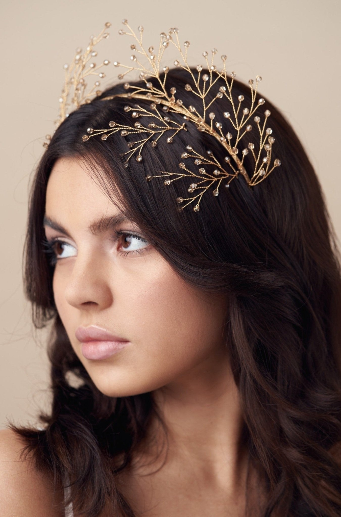 Gold crystal botanical hairpins - May - with matching Maeve crown